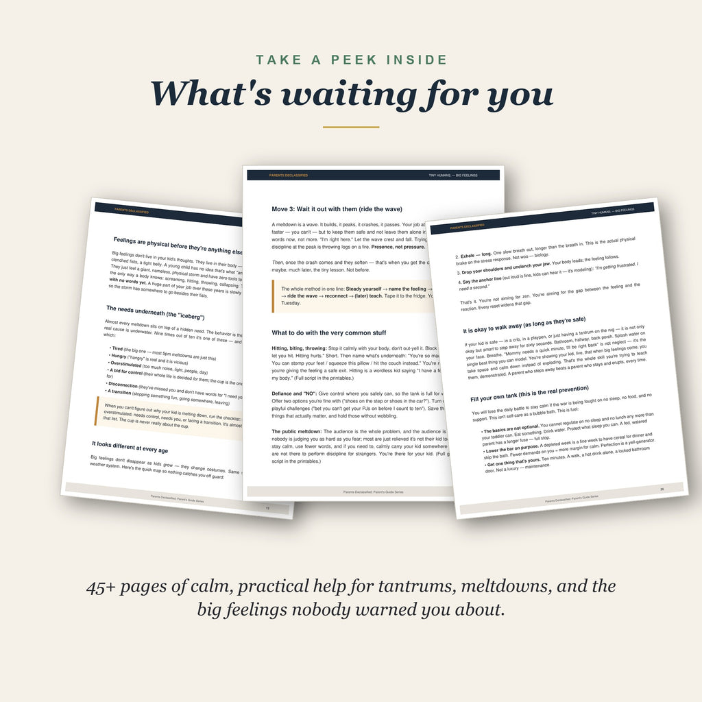 Take a peek inside the big emotions guide