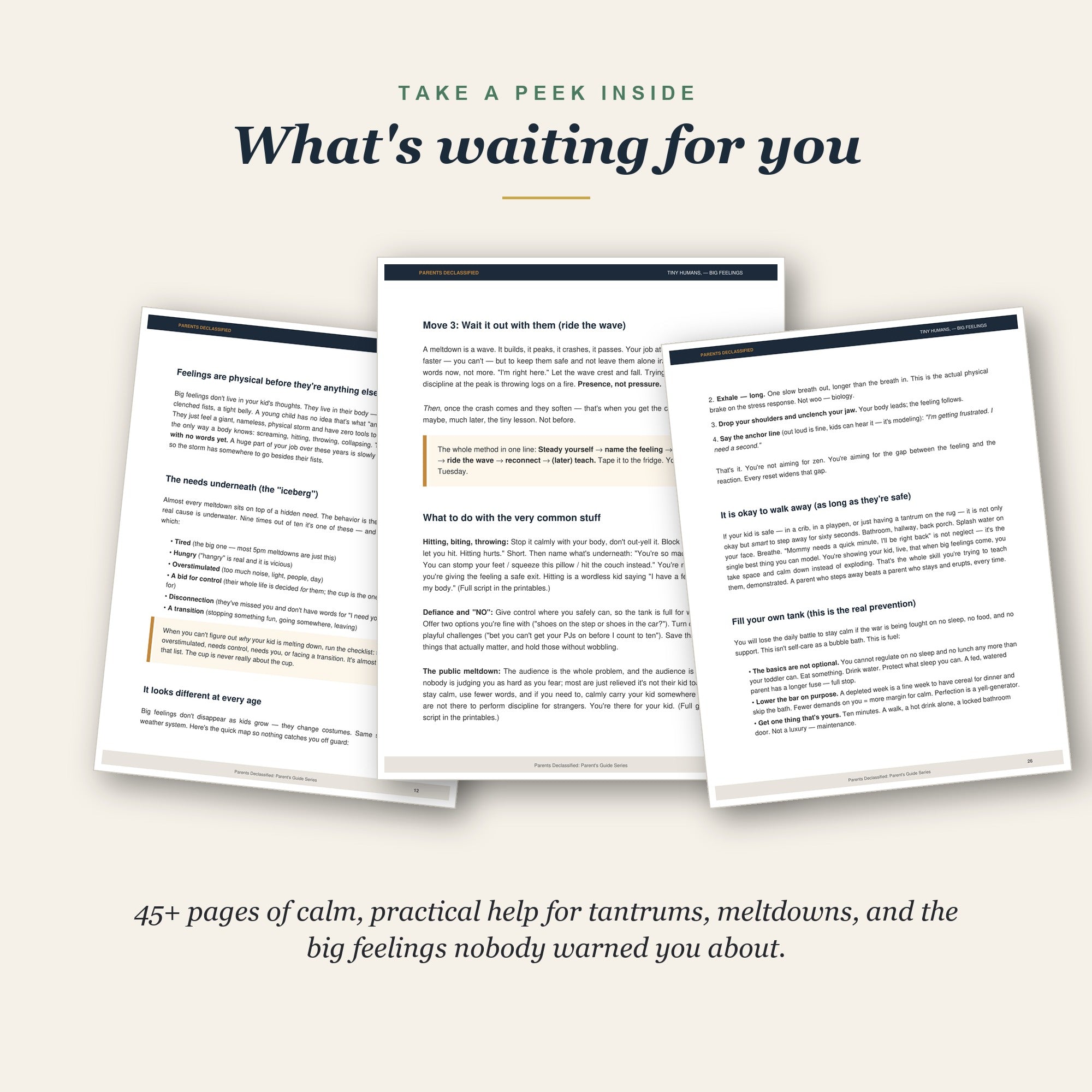Take a peek inside the big emotions guide