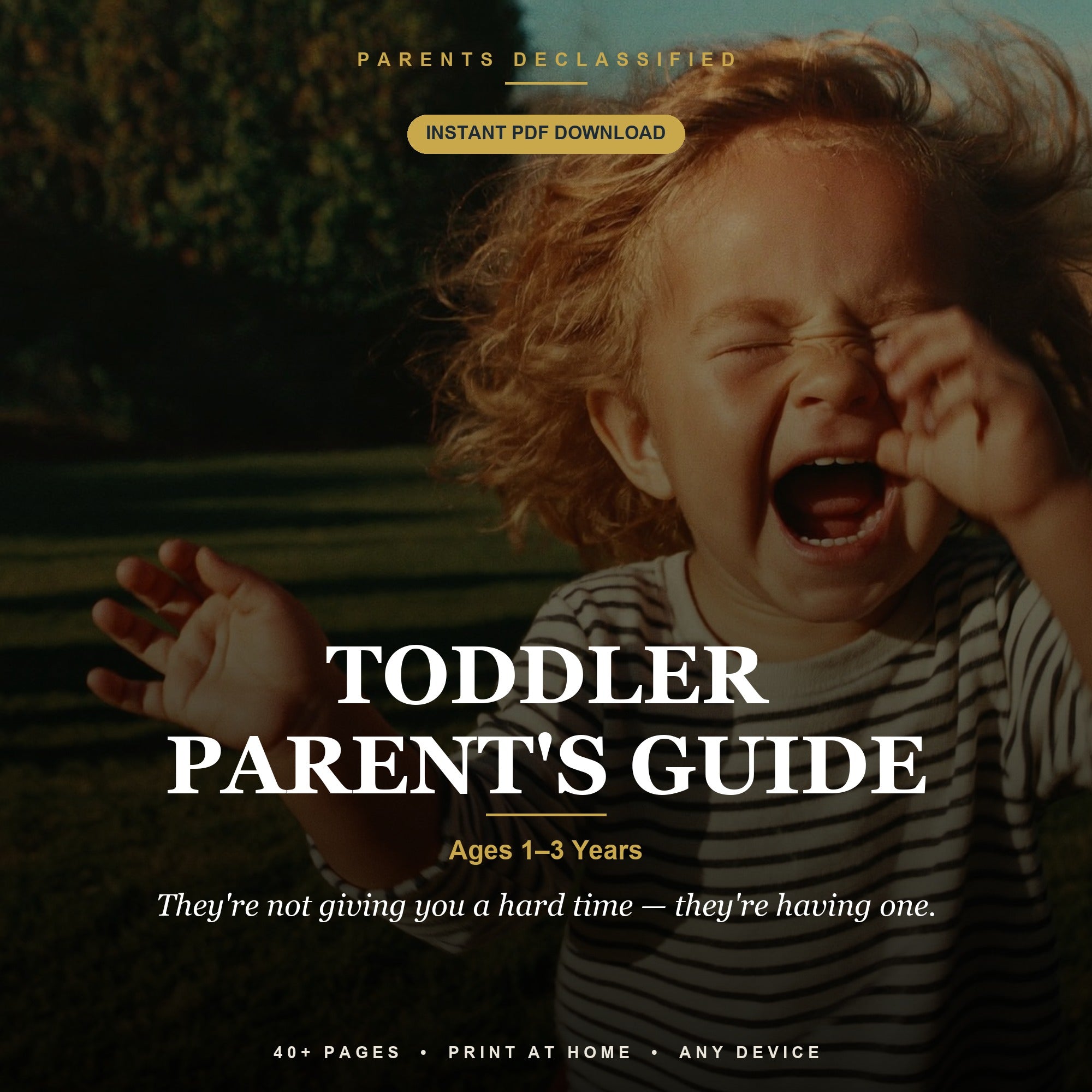 The Toddler Parent's Guide — cover