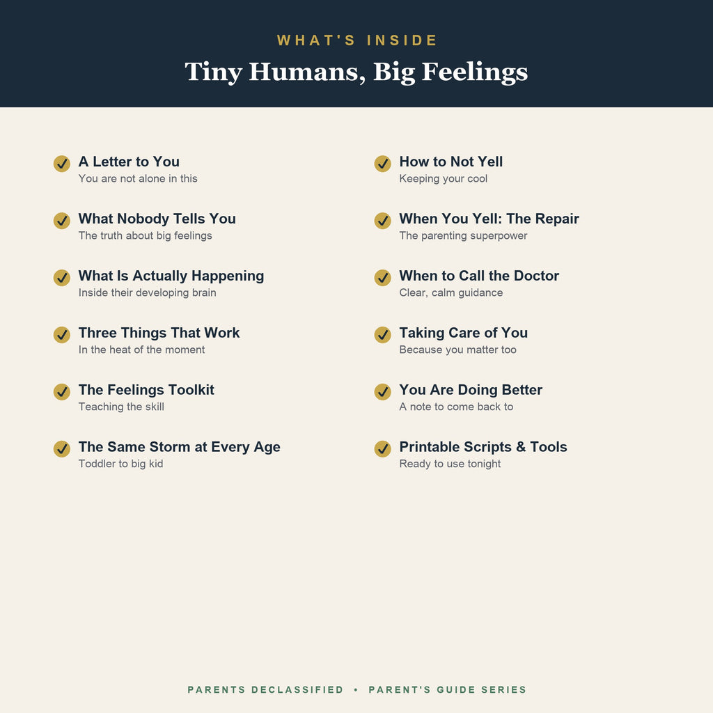 What's inside the big emotions guide