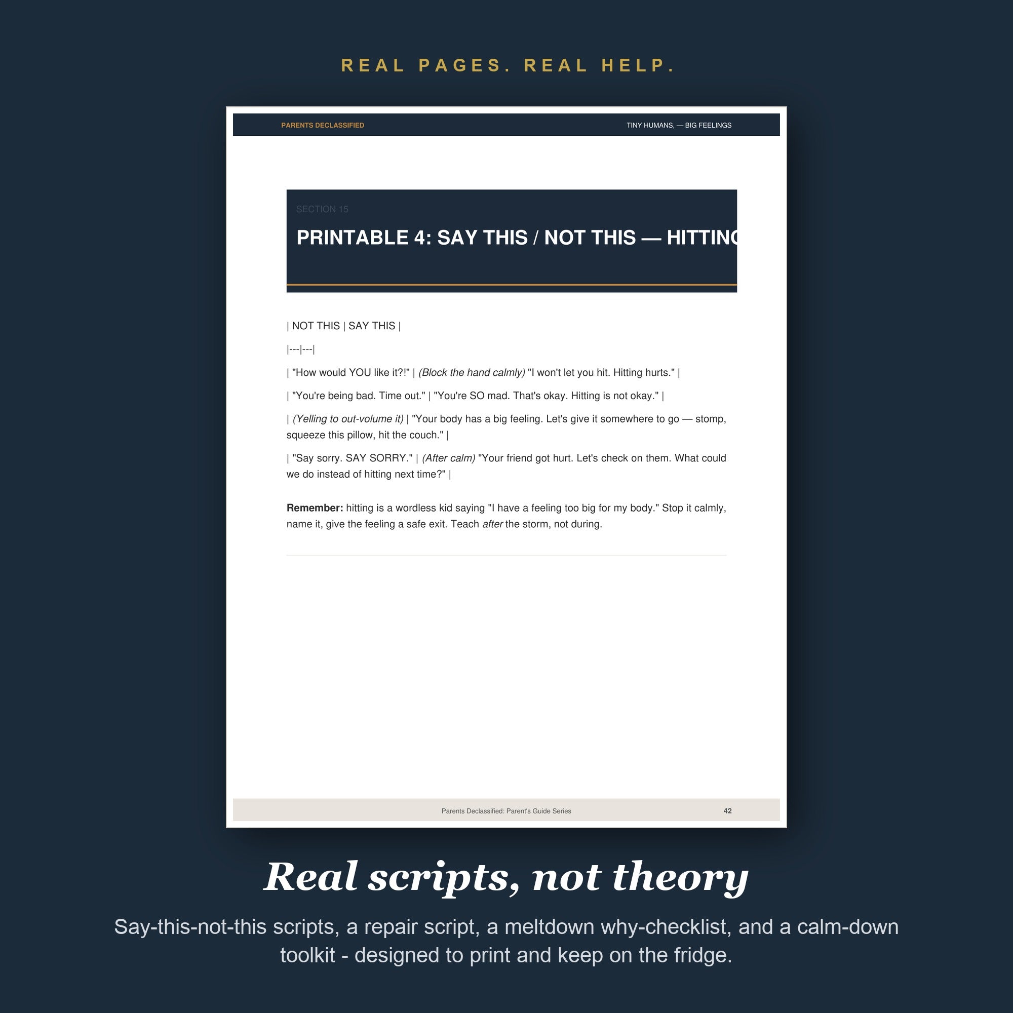Printable say this not this meltdown scripts